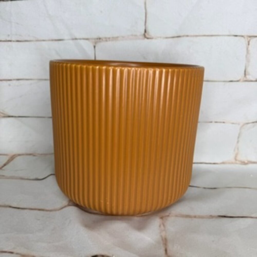 Jungle Club “Lucy” Planter – Ginger | 6.75”